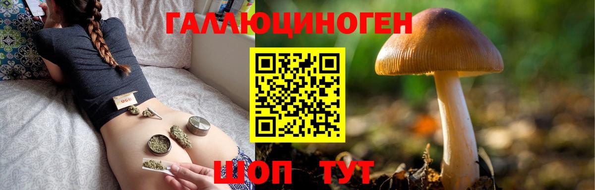 купить закладку  Галлюциногенные грибы прущие грибы  Вход с VPN  Каменск-Уральский  Галлюциногенные грибы Psilocybe 